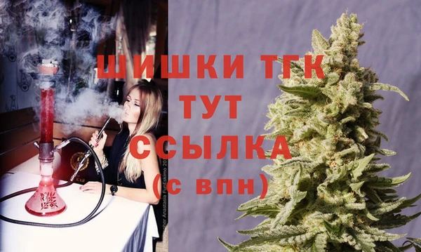 PSILOCYBIN Нязепетровск