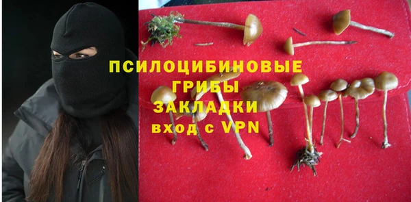 амф Алзамай