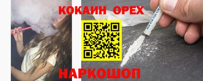 a pvp Кингисепп