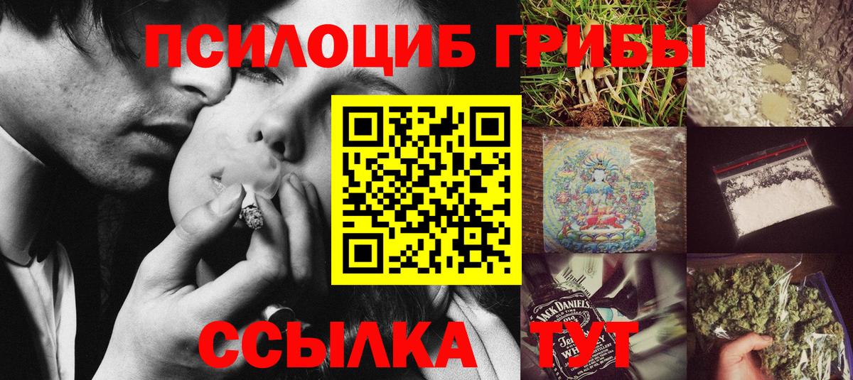Псилоцибиновые грибы Cubensis Конаково