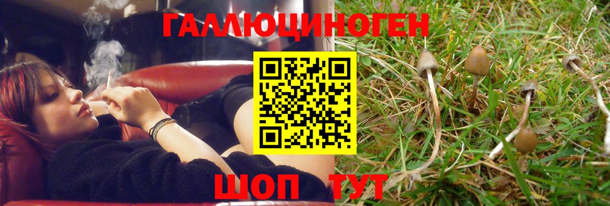 Псилоцибиновые грибы MAGIC MUSHROOMS  Вход с VPN  Конаково 