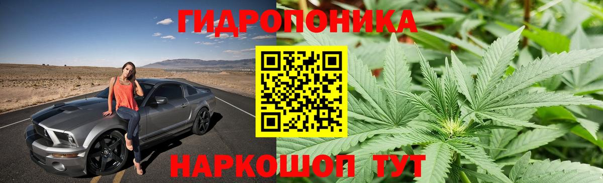 Конаково  Канабис тримм  Вход с VPN  Бошки марихуана индика  Канабис сатива 